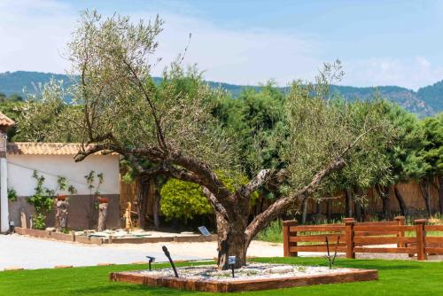 Finca Avellaneda in Santa Maria Del Tietar
