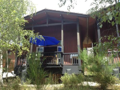 chalet dans les pins - Location, gîte - Carcans