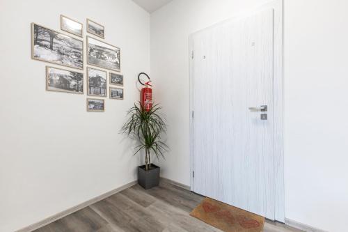 外部景觀, Apartmán Denisa (Apartman Denisa) in 羅基尼茨納德傑茨羅