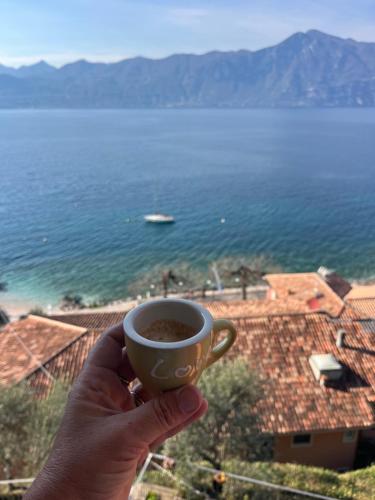 Il Balcone sul Garda chic apartment 130 mq
