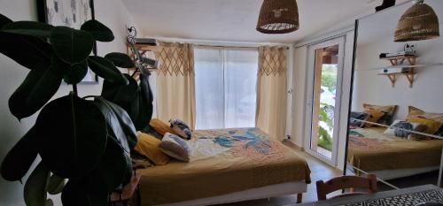 Chambre d hotes carpe diem - Chambre d'hôtes - Le Cannet-des-Maures