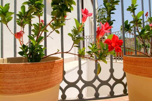 Relais Sant'Eligio - main image