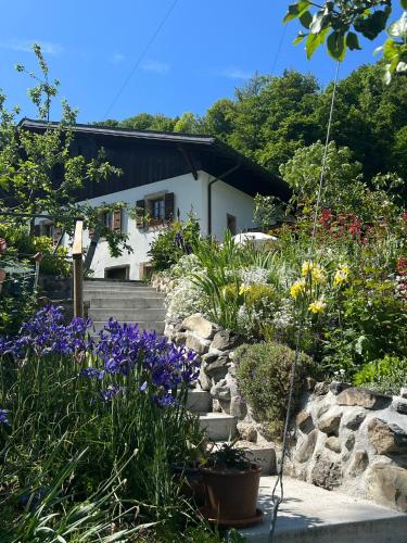 Le Petit Ruisseau
