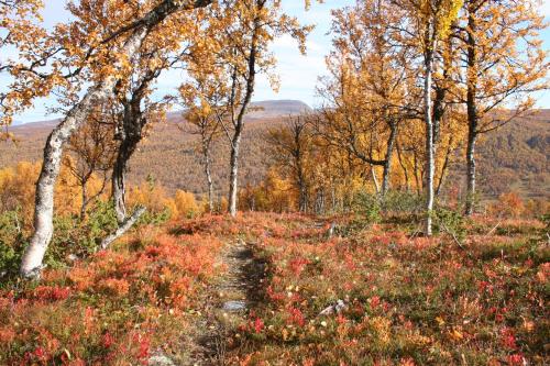 Apkārtne, Sörmons Stugby (Sormons Stugby) in Ljungdalen