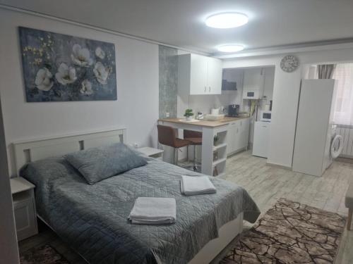 Central Studio in Targu Secuiesc