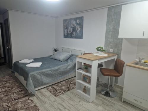 Central Studio in Targu Secuiesc