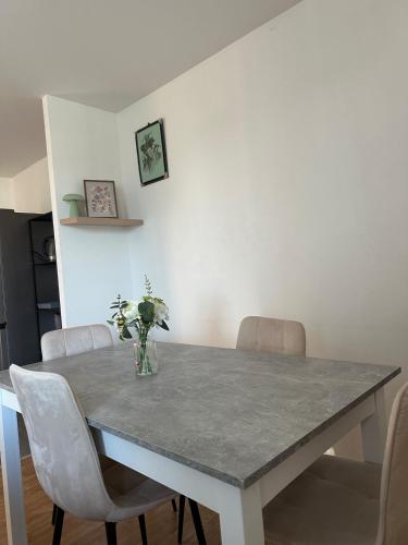 Cozy bright apartment in 盧瓦爾河畔圖瓦雷