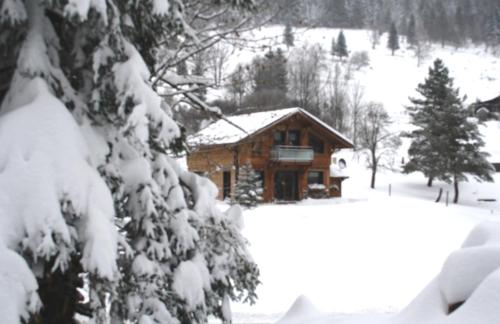 Chalet Elisa in Le Valtin