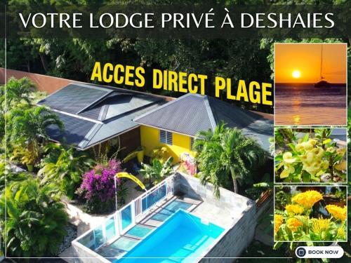 Lodge familial AU SABLE D'OR accès plage à pied - Location saisonnière - Deshaies