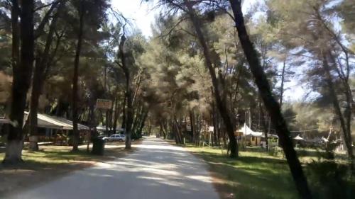 George Apartments Diviaka beach and national park in Divjake