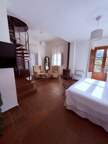 Suite, junior