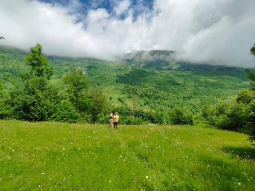 Zen Mont Chalet - Tara in Polja