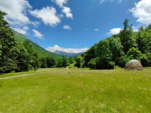 Zen Mont Chalet - Tara in Polja