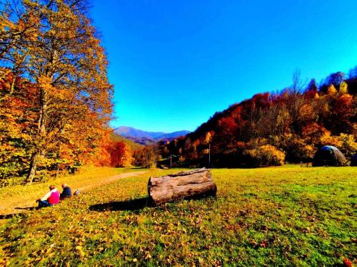 Zen Mont Chalet - Tara in Polja