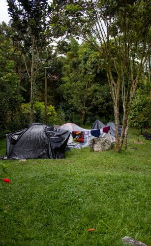 Camping La Lupita