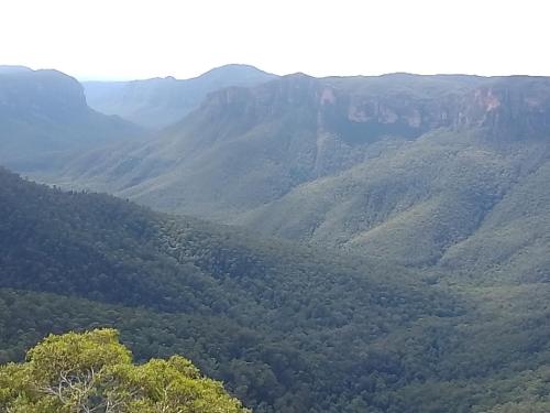 The Piddington Top in Mount Victoria
