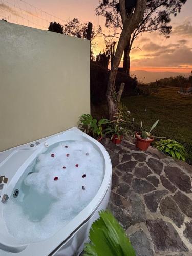 Cedrela & Pine, romantic forest getaway in Los Tornos