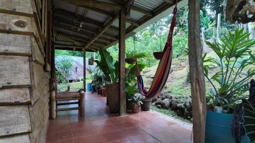 Finca Secreto Sur A Hidden Paradise in the Jungle in Carara