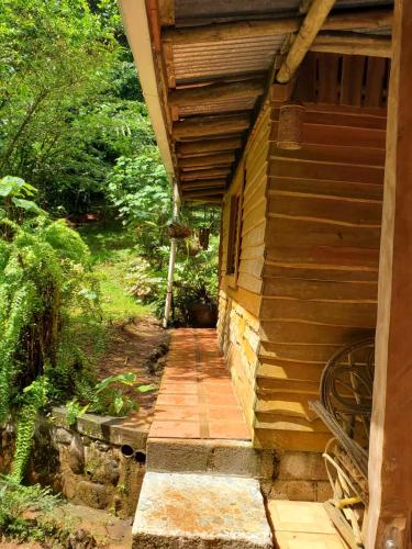 Finca Secreto Sur A Hidden Paradise in the Jungle in Carara