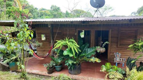 Finca Secreto Sur A Hidden Paradise in the Jungle in Carara