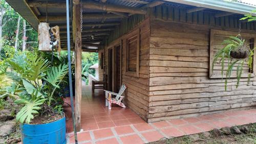 Finca Secreto Sur A Hidden Paradise in the Jungle in Carara