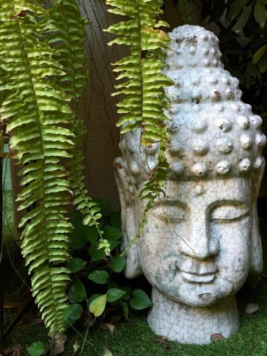 Hotel des Dames - image 7