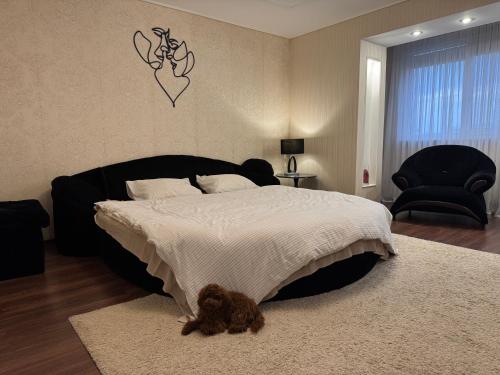 Modern classic Apartment in the center, Dnipro