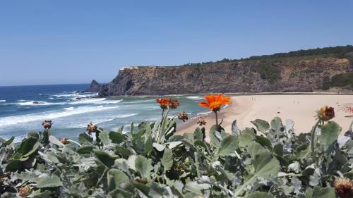 Vicentina Hotel - image 2