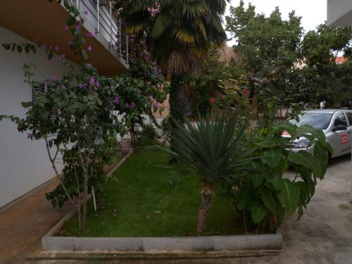  Apartment Zadar 10 in Smirić