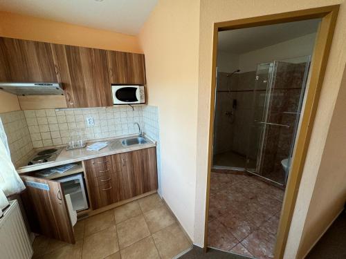 Pension Euro in Mikulov