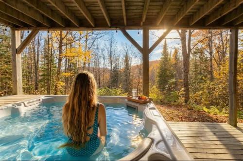 Carriole - Private Hot Tub - Nature and Hiking in Val-des-Lacs (QC)