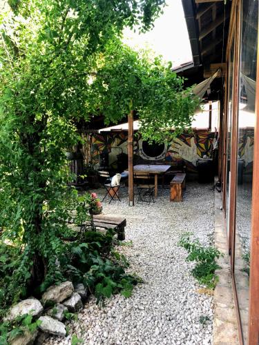 Hostel Anton, Tivat (fotografie 8)