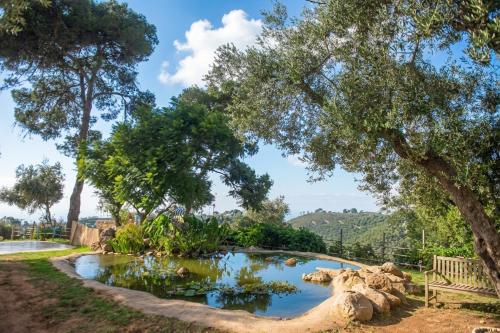Mantur Beit Oren - Nazareth Mantur Beit Oren - Nazareth
