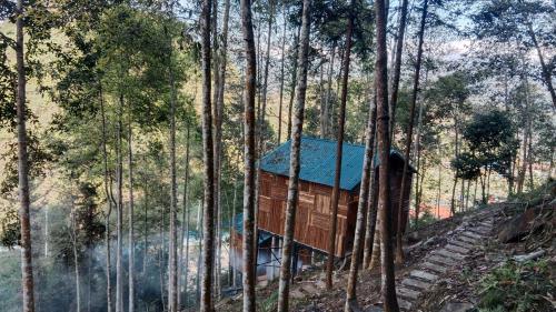 Higland Homestay Bac Ha in Bac Ha (Lao Cai)