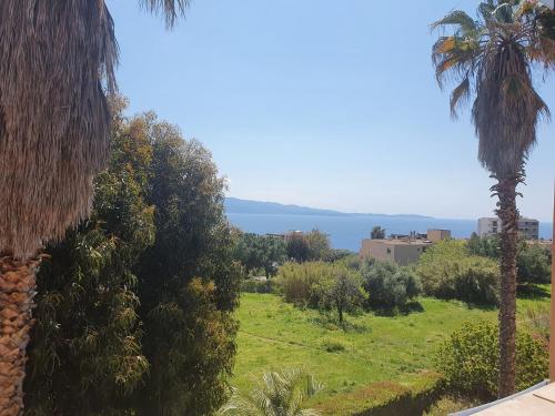 Grande terrasse vue mer