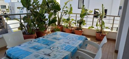Charming apartment 2 minutes from Mansourah sea in Kelibija