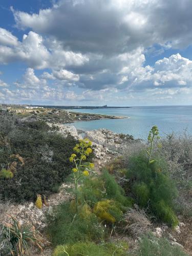 Studio in the Ceasar Resort 6 in Athienou