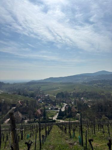 La maison Hansel & Gretel - Vignoble d'Alsace gîte à louer Andlau