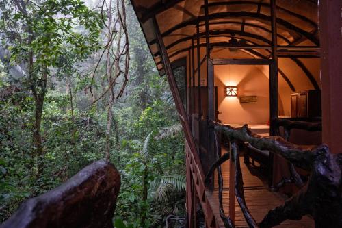 Skats, Maquenque Lodge in Boca Tapada