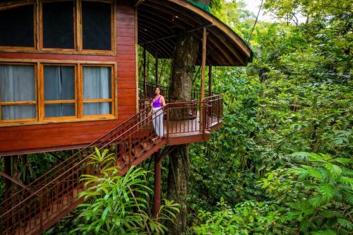 Viesnīcas āriene, Maquenque Lodge in Boca Tapada