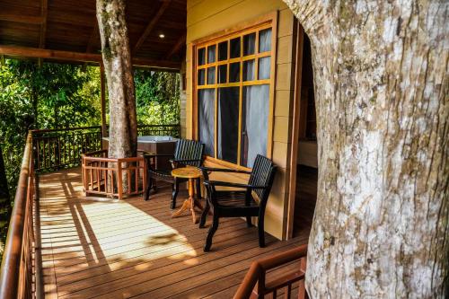 Iekārtas, Maquenque Lodge in Boca Tapada