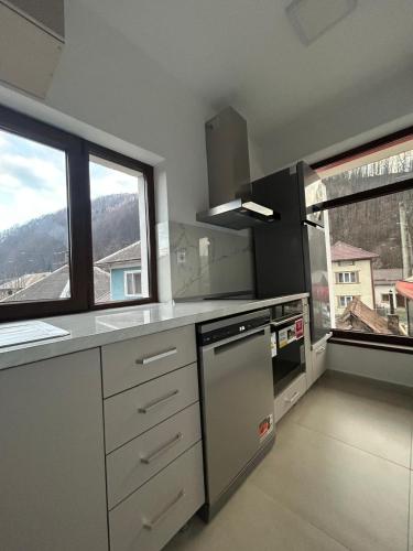 virtuve, Roua Ilvei INN in Sangeorz-Bai