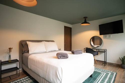 Stylish 2BR-2BA Near Plaza de Toros Mexico City in Mexico City, Mexico