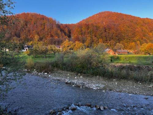 Котедж Трембіта - Сріблясті Водоспади in 舍斯賀里