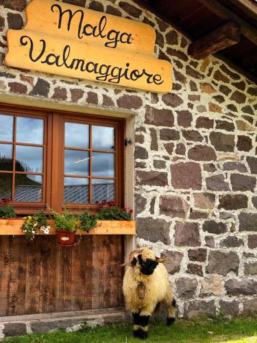 Malga Valmaggiore