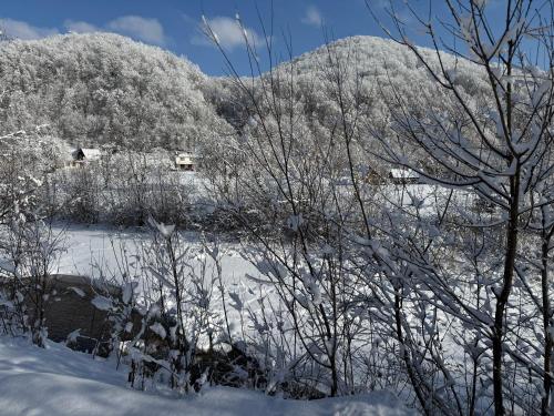 Котедж Трембіта - Сріблясті Водоспади in 舍斯賀里