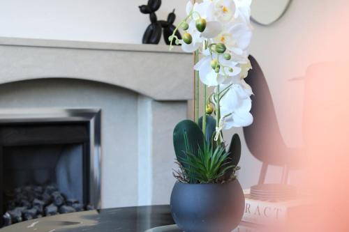 Deluxe 3 Bed Sleeps 8 Free Parking Edinurgh - image 3