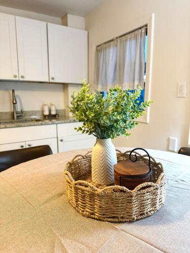 廚房, Cozy 2 BR apartment near Legacy Place and Train to Boston in 戴德姆