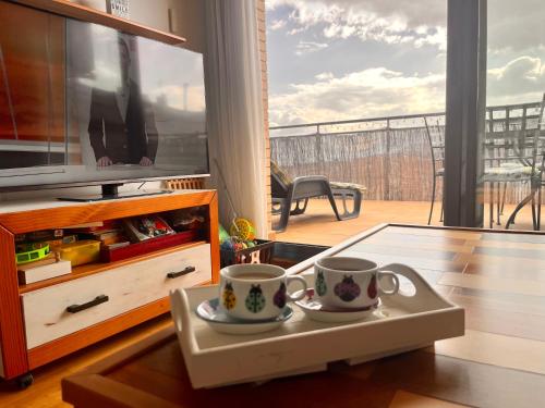 ACOGEDOR ÁTICO DÚPLEX EN TREMP (ACOGEDOR ATICO DUPLEX EN TREMP) in Tremp