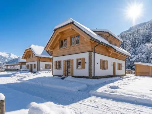 Steier Hütte S in Donnersbachwald, Österreich